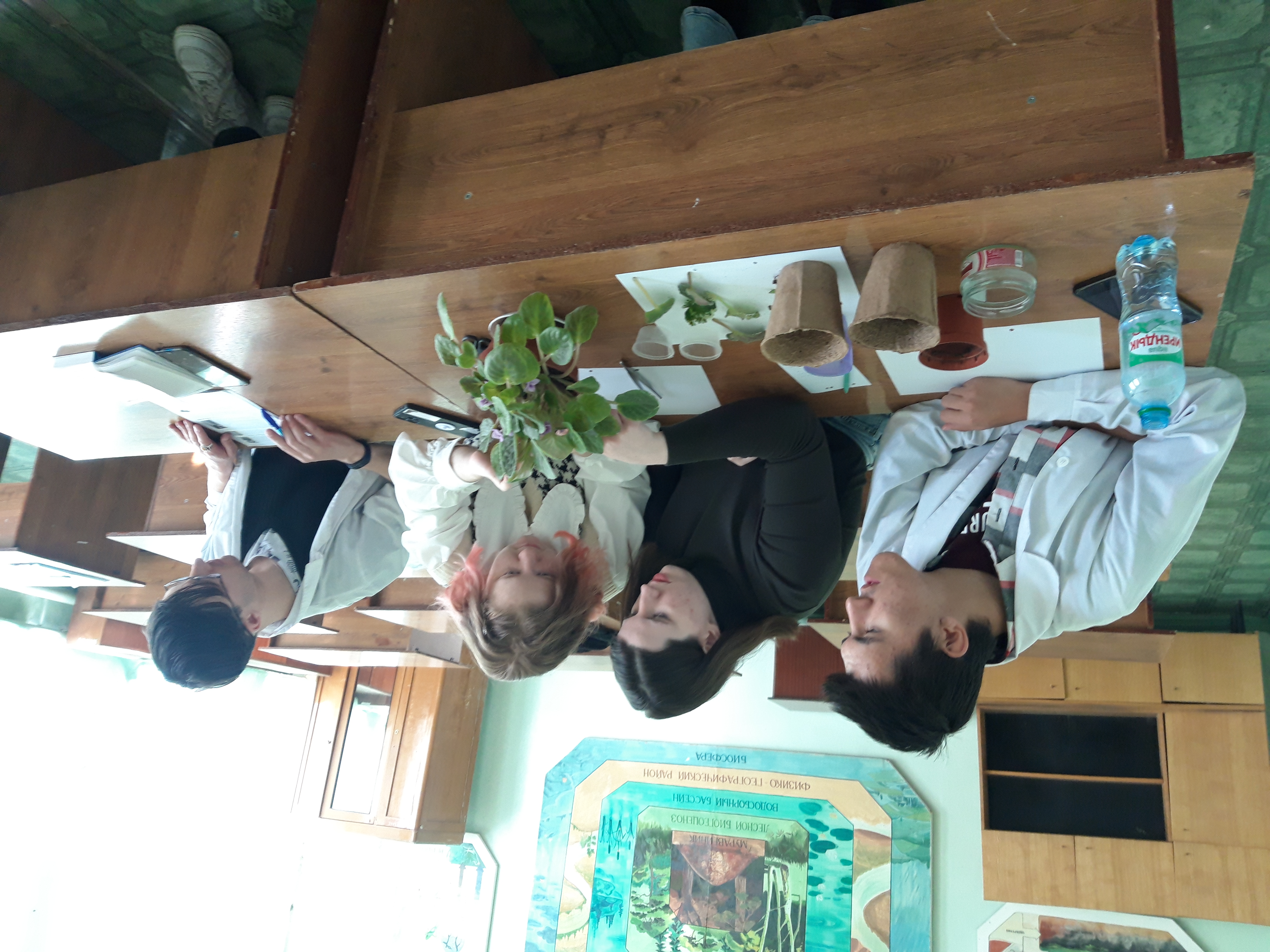 Работа по укоренению фиалки листом.jpg